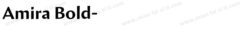 Amira Bold字体转换